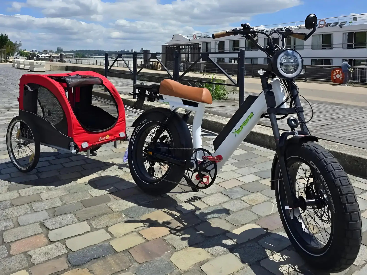 Experience Thrilling Adventures By Riding Scrambler Fatbike With Pets