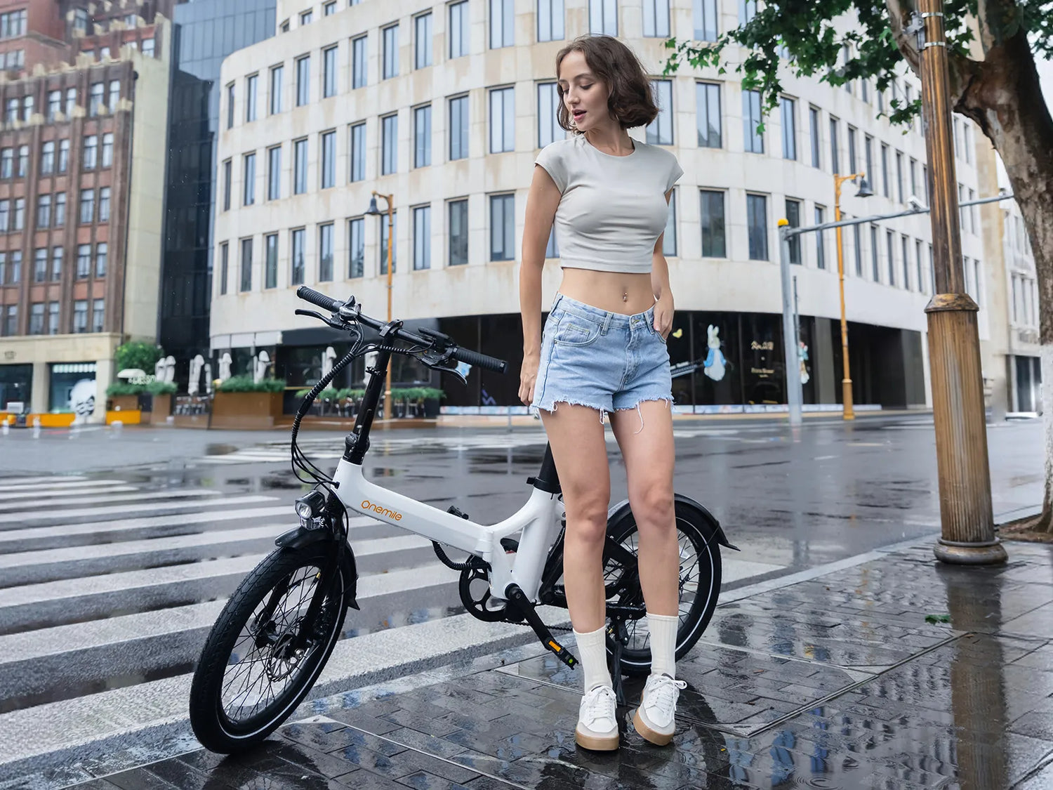 20 Inch Folding E-Bike Buying Guide
