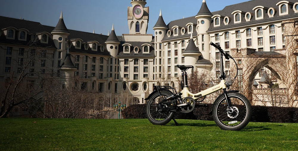Onemile Review and Overview | Onemile Mobility Products